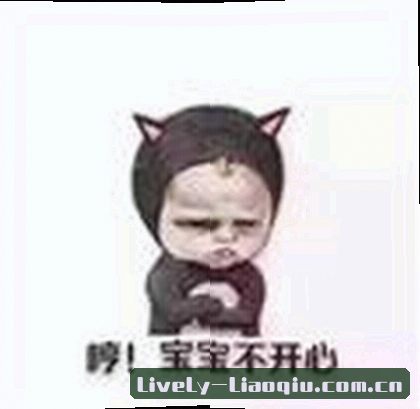 大刘